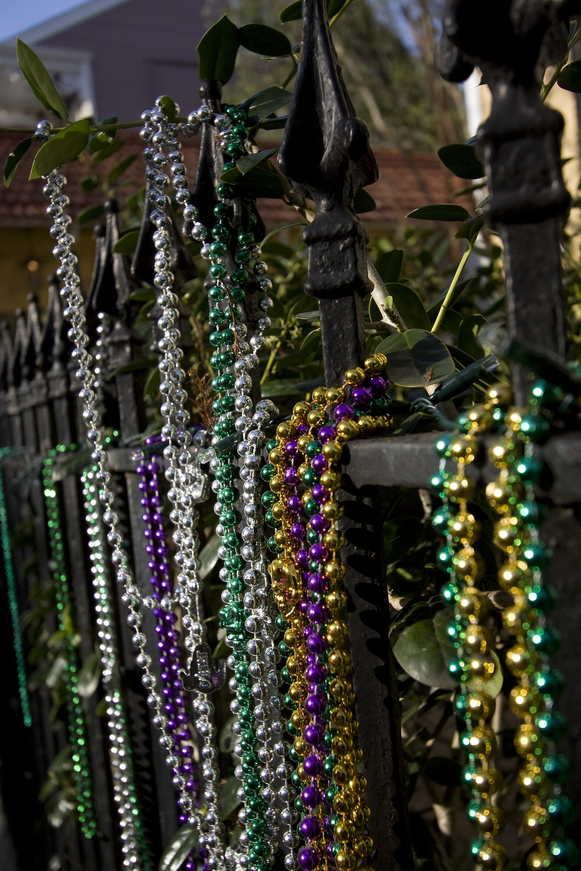 Mardi Gras beads in box